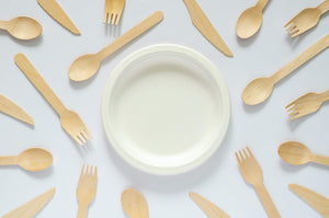 Shop compostable plates and bowl!